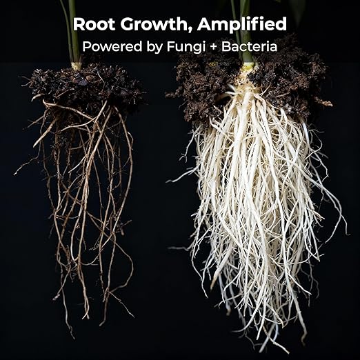 Real Growers Recharge 2 oz – Explosive Root Growth with Mycorrhizae for Living Soil & Coco Coir