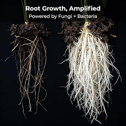 Real Growers Recharge – 8oz | Mycorrhizae Soil Microbe Inoculant for Living Soil & Coco Coir | Improves Nutrient Uptake & Root Growth