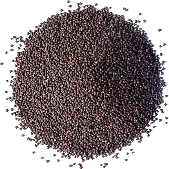 Food to Live Organic Broccoli Seeds for Sprouting, 12 Pounds – Non-GMO, Vegan, Kosher, Sirtfood, Bulk. Rich in Sulforaphane, Vitamin C. Grow Sprouts, Microgreens for Salads, and Sandwiches