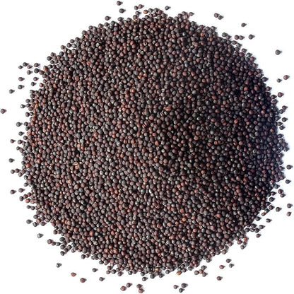 Food to Live Organic Broccoli Seeds for Sprouting, 12 Pounds – Non-GMO, Vegan, Kosher, Sirtfood, Bulk. Rich in Sulforaphane, Vitamin C. Grow Sprouts, Microgreens for Salads, and Sandwiches