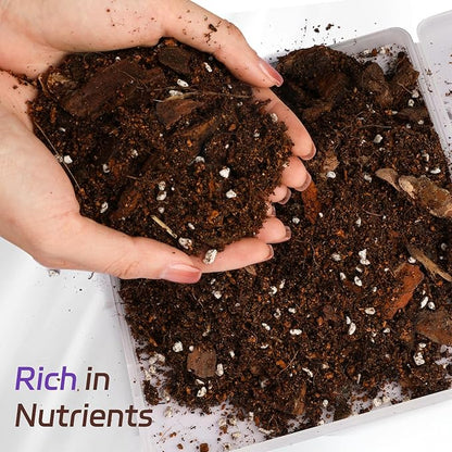 Organic African Violet Potting Mix, Indoor Plants Potting Mix for All Potted Saintpaulia, Grow Healthy houseplants Indoors