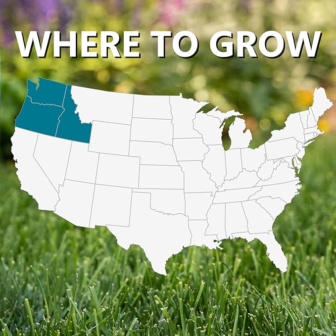Jonathan Green (10366) Black Beauty Pacific Northwest Grass Seed Mixture (Made for Washington, Oregon, and Idaho) - Cool Season Lawn Seed (7 lb)