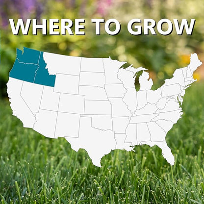 Jonathan Green (10366) Black Beauty Pacific Northwest Grass Seed Mixture (Made for Washington, Oregon, and Idaho) - Cool Season Lawn Seed (7 lb)