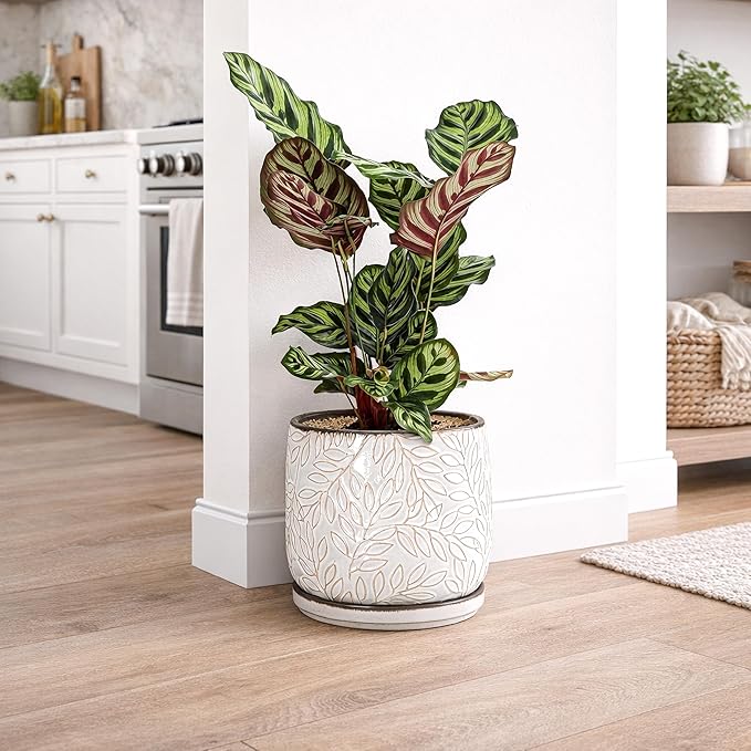 D'vine Dev 8 Inch Embossed Leaves Stoneware Planter Pot with Drainage Hole and Saucer, Smoked White, 27-A-Q-1