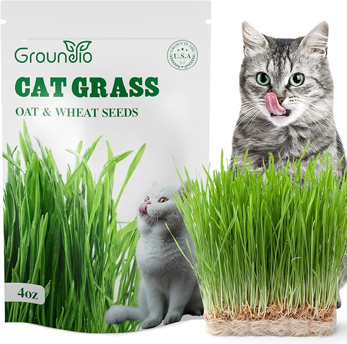 Cat Grass Seeds, 4 Oz, Non-GMO Wheat Cat Grass Seeeds & Oat Seeds Mix, High Germination Cat Grass Seeds Grown in USA for Indoor Cats