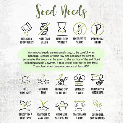 Seed Needs Wormwood Seeds for Planting - Non-GMO, Heirloom & Untreated Perennial Herb - Medicinal Herbs for Digestion & Gut Health (1 Pack)