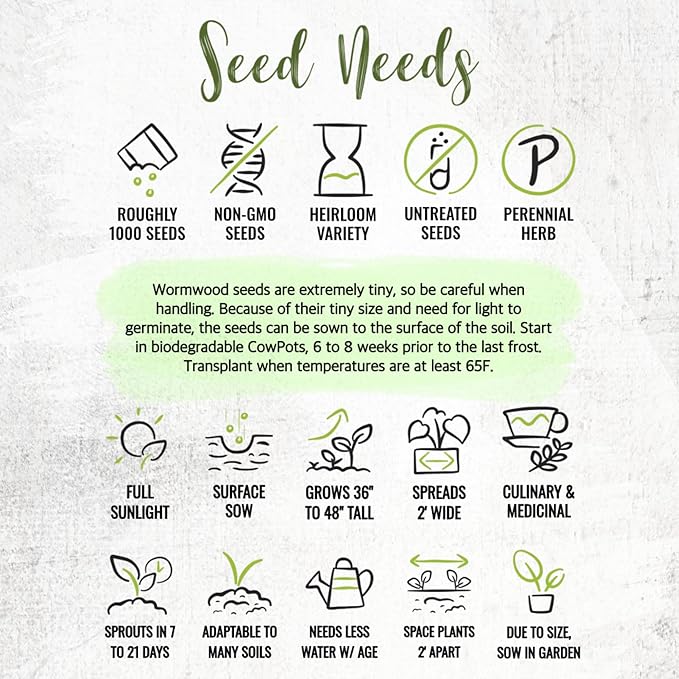 Seed Needs Wormwood Seeds for Planting - Non-GMO, Heirloom & Untreated Perennial Herb - Medicinal Herbs for Digestion & Gut Health (5 Packs)