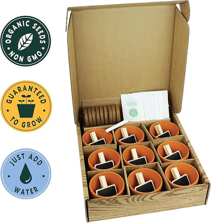 BUZZY Seeds Apothecary Garden Wellness Kit with 9 Varieties of Non-GMO Flower and Herb Seeds, Terracotta Pots, Growing Medium, and Plant Markers, a Self-Care Gift for Holistic Living