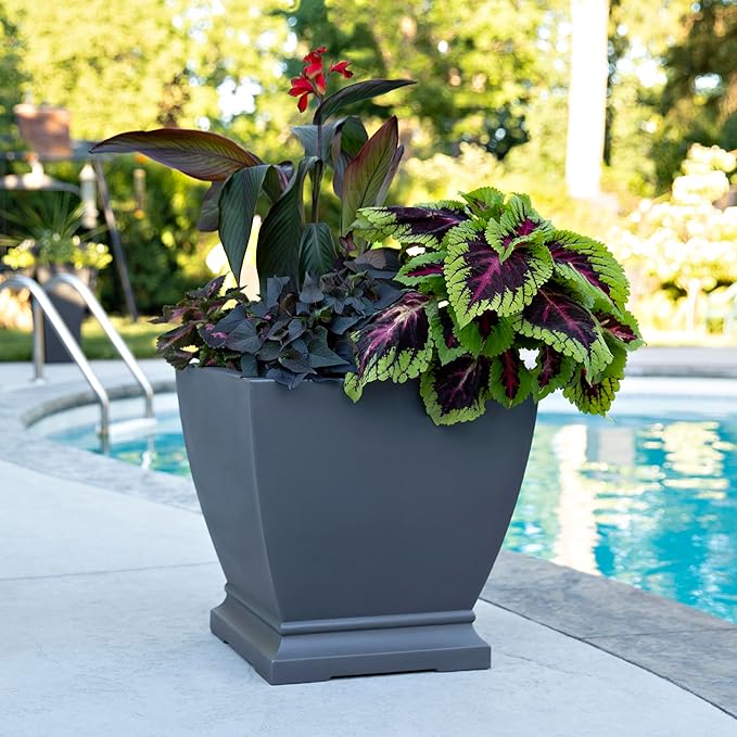 Mayne Inc. Acadia 20in Square Planter - Graphite Grey - 20in L x 20in W x 20in H - with Built-in Water Reservoir (5920-GRG)