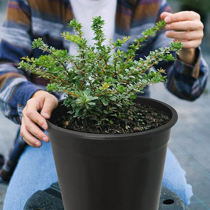 Planter Nursery Pots 5 Gallon Pots for Plants, Injection Molded Plastic Nursery Pots, 11 inch Plant Container 3.6 Gal Liquid Volume 10-Pack