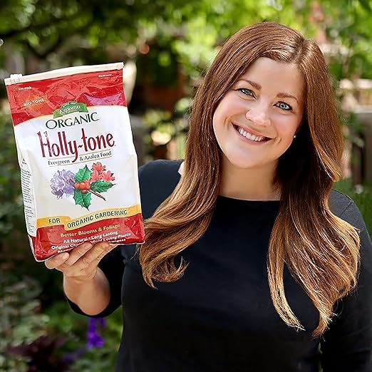 Espoma Organic Holly-Tone 4-3-4 Natural & Organic Evergreen & Azalea Plant Food; 4 lb. Bag; The Original & Best Fertilizer for All Acid Loving Plants Including Rhododendrons & Hydrangeas. Pack of 2