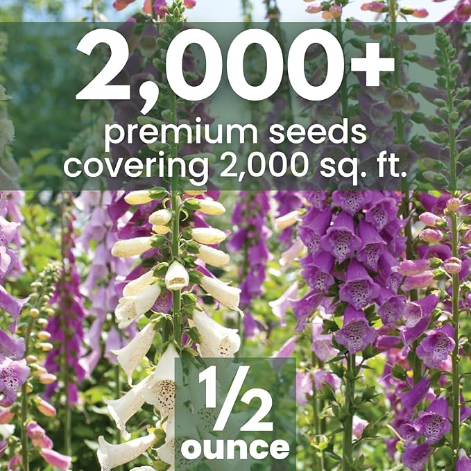 Foxglove Mixed Colors – 2,000 Seeds for Planting – 2026 Season – 1/2 Ounce Pouch