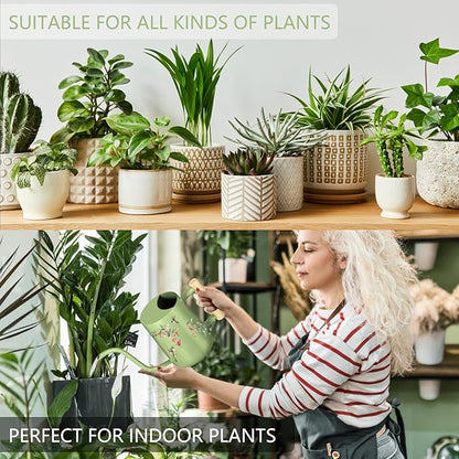 Watering Can Indoor Plants, 35oz Small Stainless Steel Metal Watering Can Modern Decorative Watering Pot with Long Spout for Indoor House Plant Bonsai Garden Flowers (Saga Green 1)