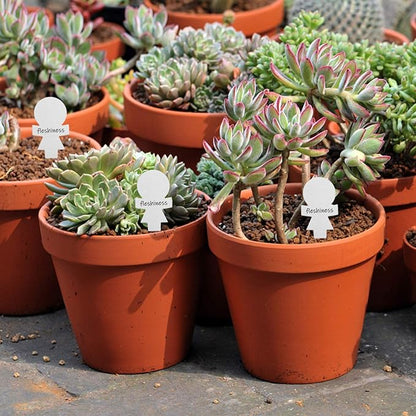 50pcs Metal Plant Label Plants Sticks Tags Gardening Labels Metal Flower Gardening Art Stainless Steel Marking Tags