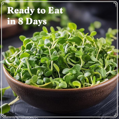 Seedboy Organic Sunflower Seeds for Sprouting - Non-GMO, USA Grown Microgreens Sprouting Seeds Mix - Makes 4 Quarts of Sprouts, 16 Servings (8 oz) (Black Oil Sunflower)