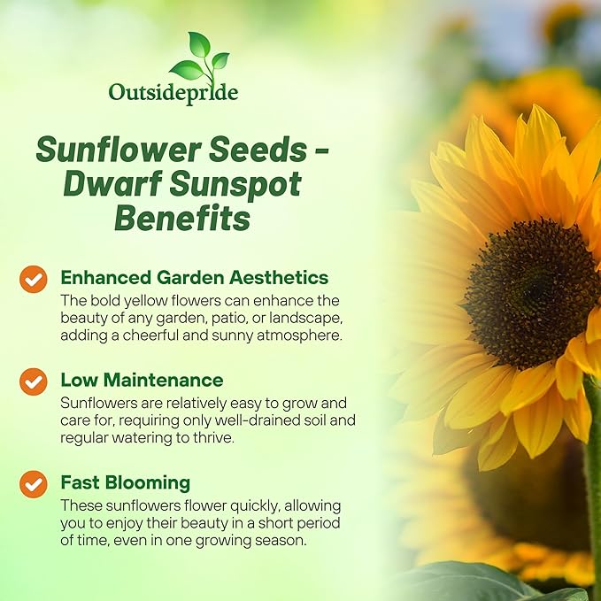 Outsidepride Dwarf Sunspot Sunflower Seeds for Planting - 5 Lbs. Annual, Easy to Grow Flower Seeds w/Vibrant, Abundant Blooms for Cut Flower Arrangements & Pollinator & Vegetable Gardens