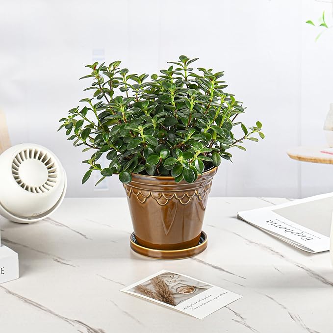 6.3 Inch Ceramic Planter, Plant Pot with Drainage Hole and Saucer, Decorative Glaze Flower Pot for Indoor Plants (Caramel)