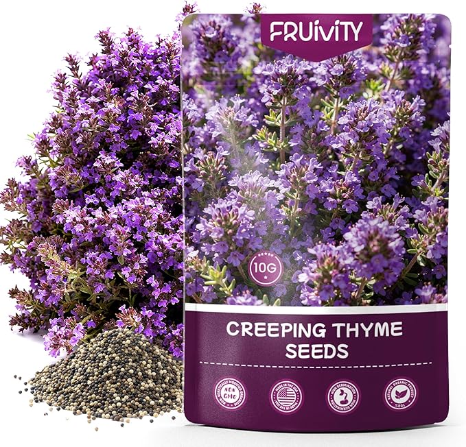20000+pcs Purple Creeping Thyme Seed for Planting, Non-GMO Heirloom Perennial Ground Cover Flowers Seeds, Lawn Alternative, Fragrant Herb Seeds for Lawns & Paths Garden Backyard