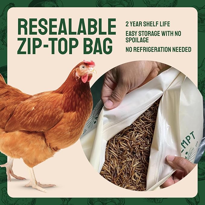 Hatortempt 20lb Dried Mealworms for Chickens - 50% Protein and 32% Essential Fats to Support Healthy Feather Growth During Molt - Organic Treats for Chickens, Ducks, Wild Birds & Reptiles