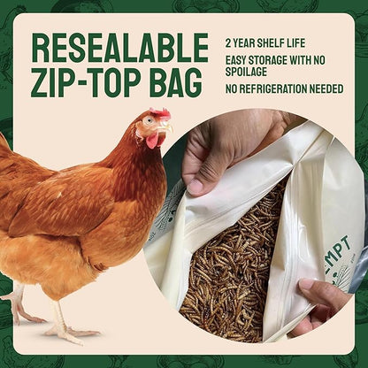 Hatortempt 20lb Dried Mealworms for Chickens - 50% Protein and 32% Essential Fats to Support Healthy Feather Growth During Molt - Organic Treats for Chickens, Ducks, Wild Birds & Reptiles