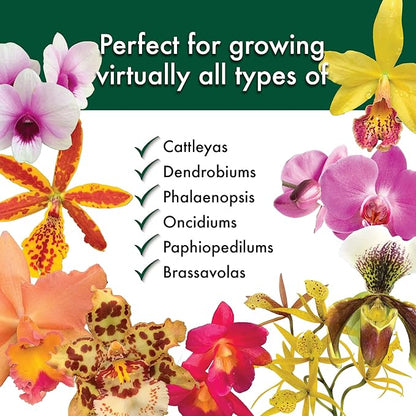 Better-Gro Special Orchid Mix - Premium Grade Orchid Bark Potting Mix for Potting, Repotting, Enhanced Drainage, Air Flow & Root Ventilation, for Phalaenopsis, Cattleyas, Dendrobiums, 8 Quarts