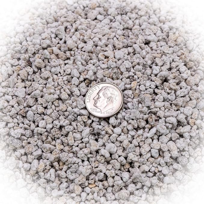 Premium Organic Perlite - (Made in Ukraine) Horticultural Soil Amendment for Indoor & Outdoor Container Plants for Drainage Management and Enhanced Growth - 1 Quart