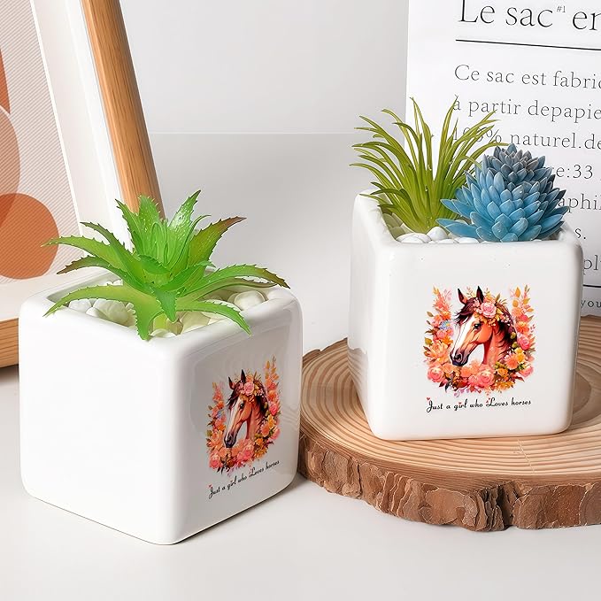 Horse Succulent Planter Flower Plant Pot Small, Gifts for Women Teens Girls Kids, Horse Lovers Themed Stuff Accessories Things Decor Merch, Home Office Table Desk Decoration!