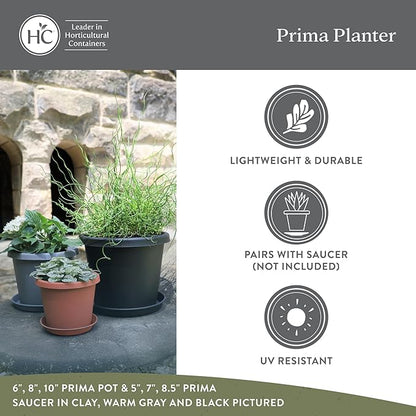 The HC Companies 6 Inch Prima Round Planter Pots with Drainage Holes and Rolled Rim, Lightweight UV-Resistant Plastic Indoor & Outdoor Planters, 4-Pack Flower Pots for Garden & Home Decor, Evergreen