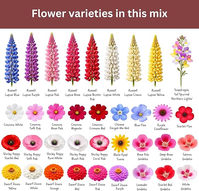 Butterfly and Hummingbird Wildflower Mix – 30,000+ Seeds – 1 oz Bulk Extra Large Resealable Packet – Non-GMO Open Pollinated Wildflower Seeds