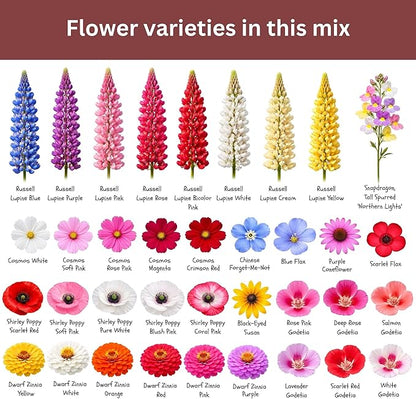 Butterfly and Hummingbird Wildflower Mix – 30,000+ Seeds – 1 oz Bulk Extra Large Resealable Packet – Non-GMO Open Pollinated Wildflower Seeds