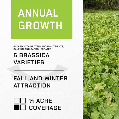 All-in-One Food Plot Seed + Fertilizer for Deer - 1/4 Acre Coverage - Annual Blend - Protein and Micronutrients for Wildlife - 6 Brassica Varieties - Illusion Systems (Prime Time)