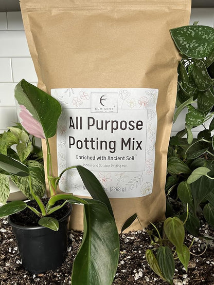 Elm Dirt Potting Soil Indoor & Outdoor Plants - All Purpose Potting Mix Ancient Soil for House Plants | Premium Nutrition for Garden Soil - All Purpose Formula for Vegetables, Flowers and Herbs(5 lbs)