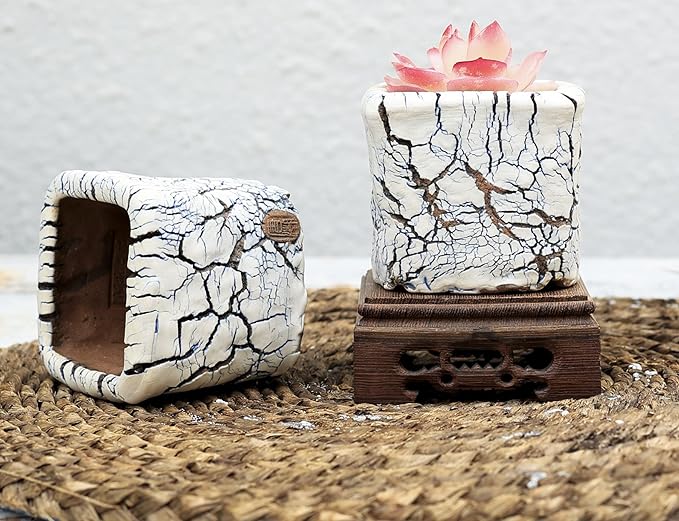Arktiva Ceramic Planter Pots w/Drainage, 3 Inch Set of 2, Indoor Outdoor Home Patio Garden Plants Flower Succulent, Crackle-Texture Square