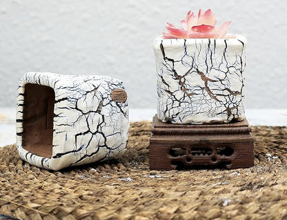 Arktiva Ceramic Planter Pots w/Drainage, 3 Inch Set of 2, Indoor Outdoor Home Patio Garden Plants Flower Succulent, Crackle-Texture Square