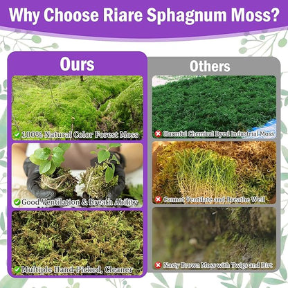 Riare 3.3LBS Premium Sphagnum Moss for Plants- 60QT Natural Dried Plant Moss for Potted Plants, Orchid Moss for Repotting, Soft Green Decorative Moss for Succulents, Reptiles & DIY Crafts