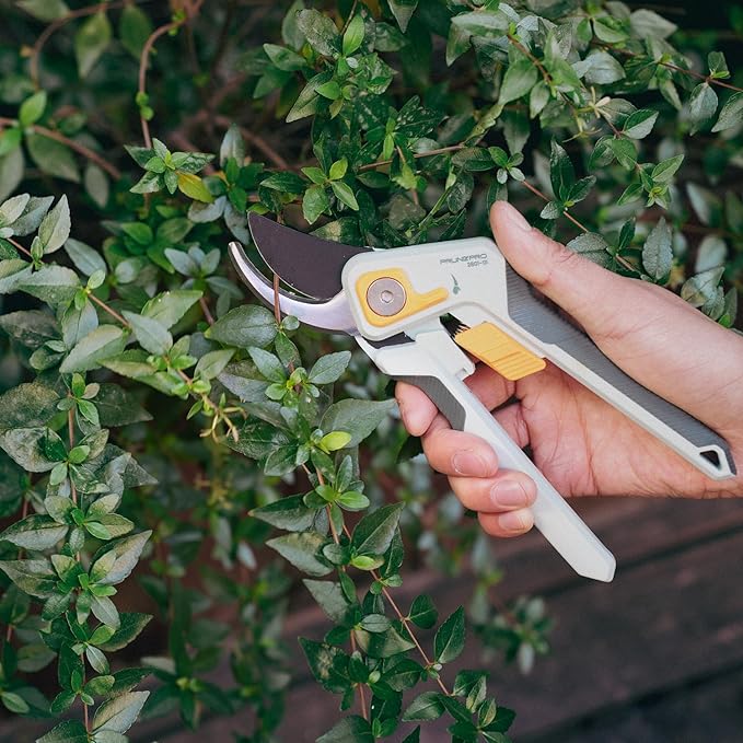 PrunePro 8" Professional Pruning Shears for Gardening Bypass Hand Pruner Stainless Steel Sharp Garden Scissors Plant Flower Rose Garden Clipper - 3 Pack