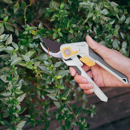 PrunePro 8" Professional Pruning Shears for Gardening Bypass Hand Pruner Stainless Steel Sharp Garden Scissors Plant Flower Rose Garden Clipper - 3 Pack