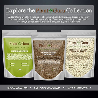Moringa Seeds Wingless 1 oz. - PKM1 Variety - Edible Snacking - Planting - Moringa Oleifera - Malunggay - Semillas De Moringa - Drumstick Tree - Non-GMO - 100 to 125 Seeds