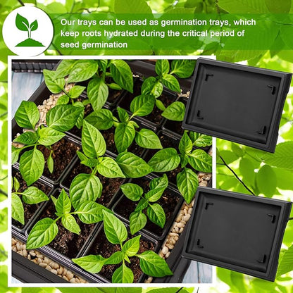 Pinkunn 2 Pcs Bonsai Humidity Tray Rectangular Drip Tray Plastic Plant Water Catcher Plant Saucers for Indoors and Outdoors Cactus,Succulents,Bonsai Tree,Stone Not Included (15.7 x 13 Inch)