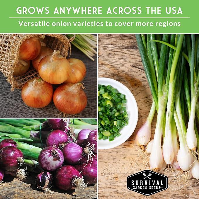 Onion Seeds for Planting – 6 Variety Pack Collection | Ruby Red, Tropea Rossa, Tokyo Long White, Sweet Spanish, White Grano, Ailsa Craig – Heirloom Non-GMO Onions – Survival Garden Seeds