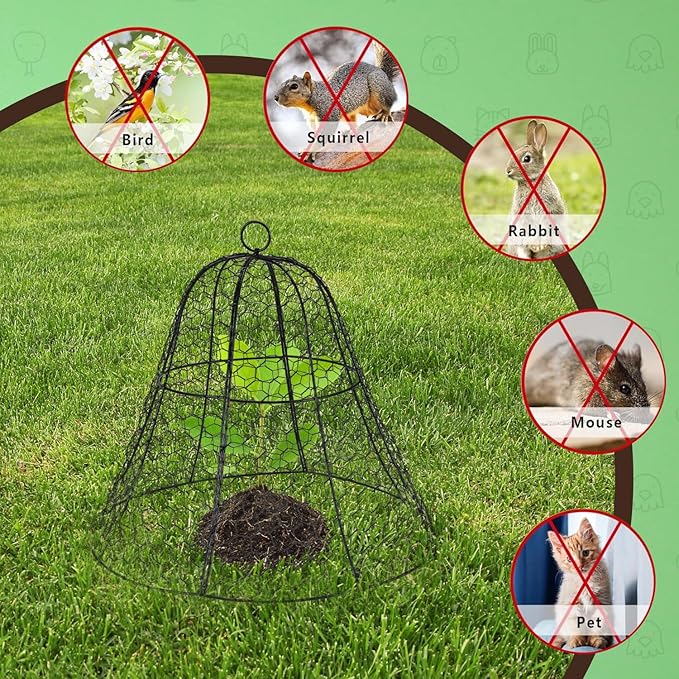 Homarden Garden Cloche Plant Protectors from Animals - Bell Screen Shape Plant Cage - Garden Protection from Animals - Plant Covers for Outdoor Vegetable Garden or Indoor Potted Plants - Black
