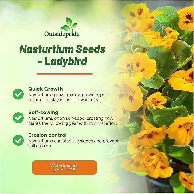 Outsidepride Tom Thumb Ladybird Nasturtium Seeds - 400 Pcs Annual, Easy to Grow & Versatile, Flower Seeds for Planting Vibrant Blooms, Ideal for Gardens, Borders, and Pollinator Gardens