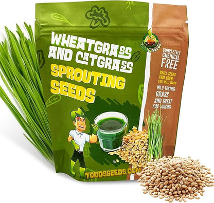 Todd's Seeds Wheatgrass Seeds; Hard Red Winter Wheat, Non-GMO, Chemical Free, High Germination (1/4 Pound)