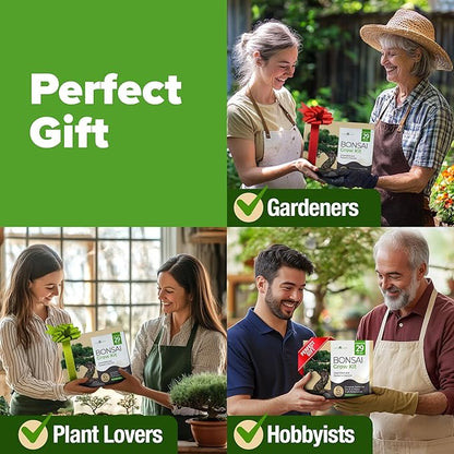 HOME GROWN Bonsai Tree Kit – 6 Heirloom Varieties with Unique Pots – DIY Bonsai Starter Kit for Adults & Beginners – Christmas Gift for Men Women Gardeners Plant Lovers – Indoor Growing Kit