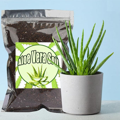 Aloe Vera Potting Soil Mix 4qt, Ready to Use for Seedling and Growing of Aloe Vera Plants or Other Houseplants