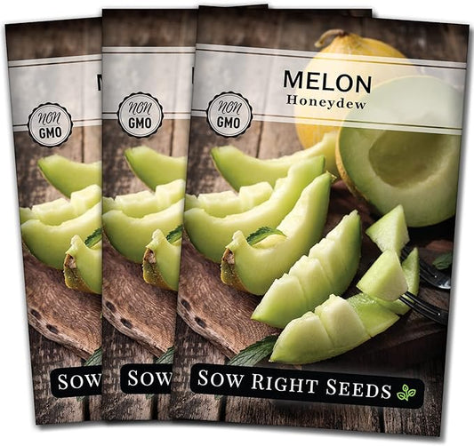 Sow Right Seeds - Green Honeydew Melon Seeds for Planting - Non-GMO Heirloom Packet with Instructions to Plant a Home Vegetable Garden - Super Sweet and Crisp Green Honey Dew Cantaloupe (3)