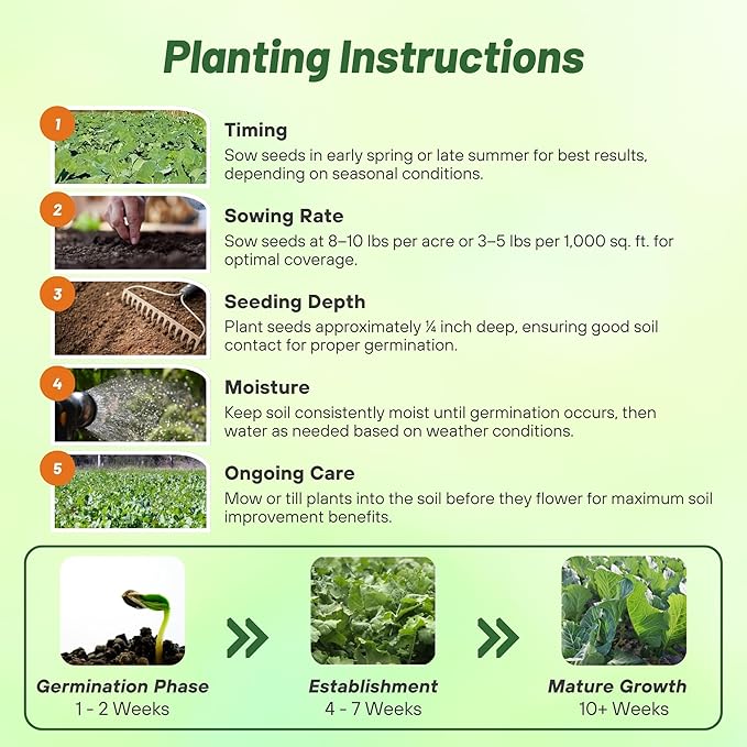 Outsidepride Bayou Kale Seeds - 50 lb. Annual, Versatile & Cold-Tolerant, Cover Crop Seeds for Planting Large, Resilient Foliage for Livestock Grazing, Erosion Control & Easy Growth