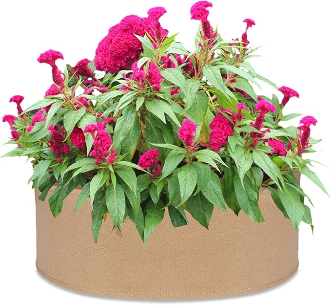 2PCS Plant Grow Bags, 15Gallons Heavy Thickened Non Woven Fabric Garden Bed with Seedling Nursery Round Planting Container Garden Pot Bed for Flowers Vegetable Plants Fruits