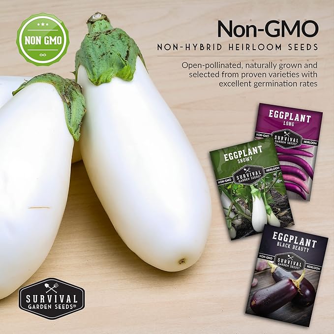 Survival Garden Seeds Eggplant Collection – 3 Varieties - Long Purple Italian, Black Beauty & Snowy Eggplant Seeds – Non-GMO Heirloom Seeds for Planting in Your Home Vegetable Garden
