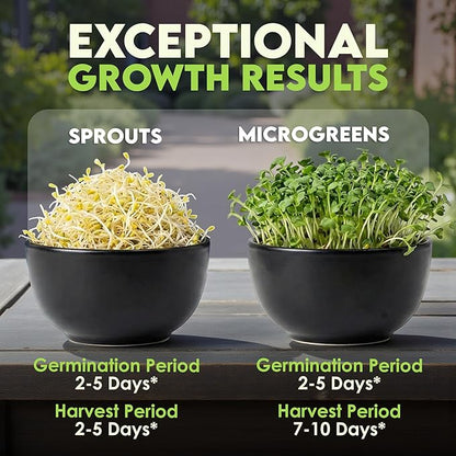 Nature Jims Sprouts Alfalfa Seeds – Non-GMO Organic Sprout Growing Kit for Planting – Premium Resealable Bag for Fresh Homegrown Sprouting Seeds – Rich in Nutrients, Vitamins, Fiber & Minerals – 16oz